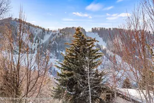 990 E Hopkins Ave, Aspen, CO 81611 - Photo 24