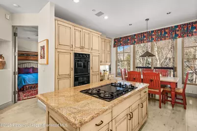 990 E Hopkins Avenue, Aspen, CO 81611 - Photo 10