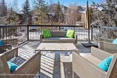 990 E Hopkins Avenue, Aspen, CO 81611 - Photo 40