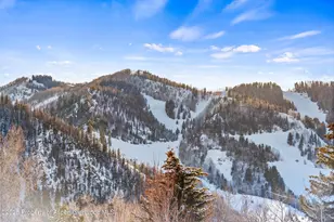 990 E Hopkins Ave, Aspen, CO 81611 - Photo 12