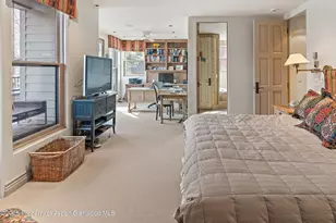 990 E Hopkins Ave, Aspen, CO 81611 - Photo 32