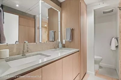 1024 E Cooper Avenue #1, Aspen, CO 81611 - Photo 14
