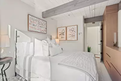 1024 E Cooper Avenue #1, Aspen, CO 81611 - Photo 20