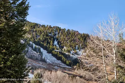 1024 E Cooper Avenue #1, Aspen, CO 81611 - Photo 24