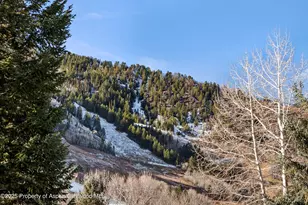 1024 E Cooper Ave, Aspen, CO 81611 - Photo 24