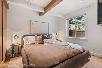 1024 E Cooper Avenue #1, Aspen, CO 81611 - Photo 12