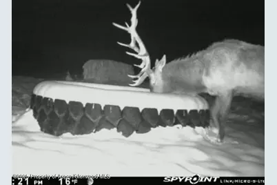 18946 County Road 57, Maybell, CO 81640 - Photo 112