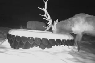 18946 Co Rd 57, Maybell, CO 81640 - Photo 112