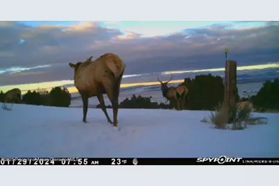 18946 County Road 57, Maybell, CO 81640 - Photo 120