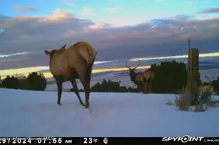 18946 Co Rd 57, Maybell, CO 81640 - Photo 120