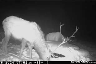 18946 Co Rd 57, Maybell, CO 81640 - Photo 118