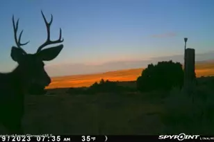 18946 Co Rd 57, Maybell, CO 81640 - Photo 116