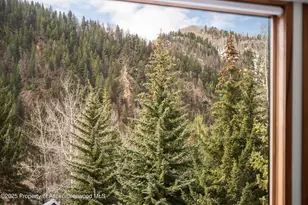 926 Waters Ave, Aspen, CO 81611 - Photo 22