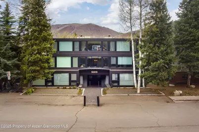926 Waters Avenue #203, Aspen, CO 81611 - Photo 22