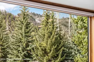 926 Waters Ave, Aspen, CO 81611 - Photo 24