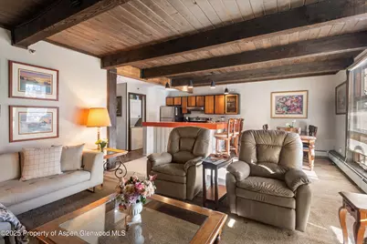 600 E E Main St Street #207, Aspen, CO 81611 - Photo 2