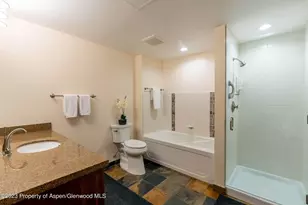 110 Carriage Way, Snowmass Village, CO 81615 - Photo 8