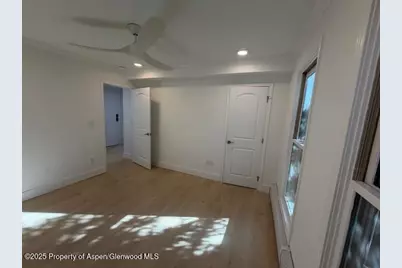 910 W Hallam Street #12, Aspen, CO 81611 - Photo 14