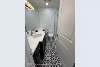 910 W Hallam Street #12, Aspen, CO 81611 - Photo 20