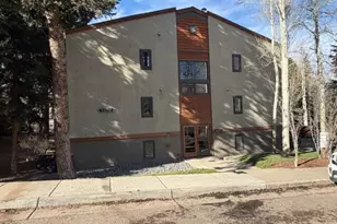 910 W Hallam St, Aspen, CO 81611 - Photo 28