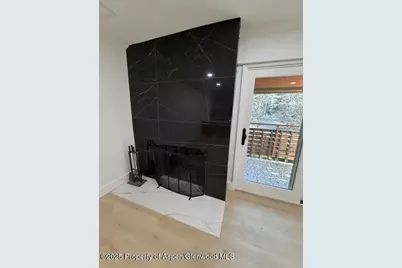 910 W Hallam Street #12, Aspen, CO 81611 - Photo 10