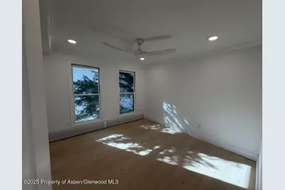 910 W Hallam Street #12, Aspen, CO 81611 - Photo 16