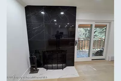 910 W Hallam Street #12, Aspen, CO 81611 - Photo 6