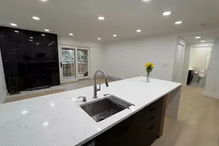 910 W Hallam St, Aspen, CO 81611 - Photo 2