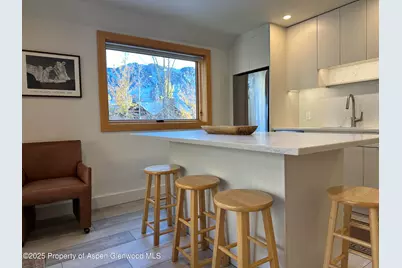 1136 Vine Street #1136, Aspen, CO 81611 - Photo 2