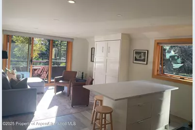 1136 Vine Street #1136, Aspen, CO 81611 - Photo 6