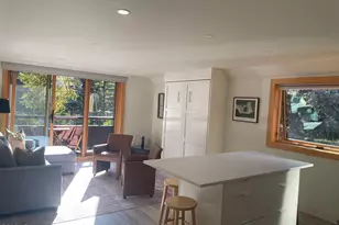 1136 Vine St, Aspen, CO 81611 - Photo 6