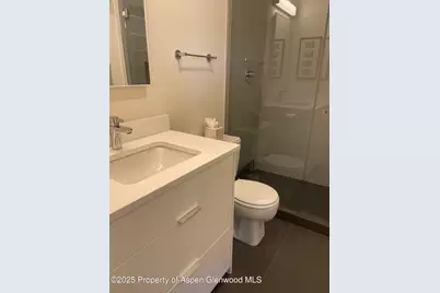 1136 Vine Street #1136, Aspen, CO 81611 - Photo 8