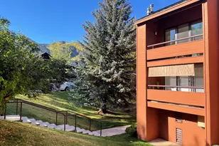 1136 Vine St, Aspen, CO 81611 - Photo 12