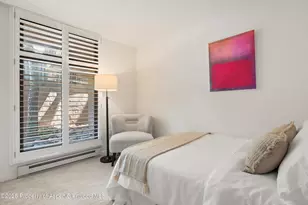 800 E Hopkins Ave, Aspen, CO 81611 - Photo 26