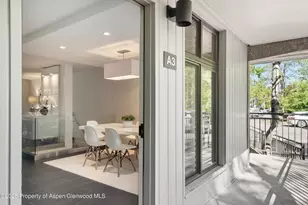 800 E Hopkins Ave, Aspen, CO 81611 - Photo 28