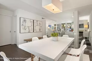 800 E Hopkins Ave, Aspen, CO 81611 - Photo 14