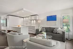 800 E Hopkins Ave, Aspen, CO 81611 - Photo 1