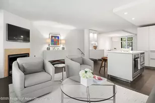 800 E Hopkins Ave, Aspen, CO 81611 - Photo 6