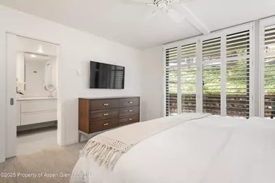 800 E Hopkins Avenue #A-3, Aspen, CO 81611 - Photo 20