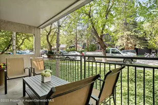 800 E Hopkins Ave, Aspen, CO 81611 - Photo 32