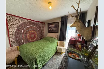 312 Ceratosaurus Circle, Dinosaur, CO 81610 - Photo 10