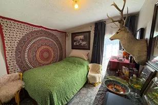 312 Ceratosaurus Cir, Dinosaur, CO 81610 - Photo 10