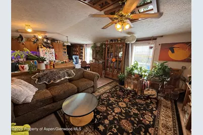 312 Ceratosaurus Circle, Dinosaur, CO 81610 - Photo 4