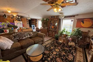 312 Ceratosaurus Cir, Dinosaur, CO 81610 - Photo 4