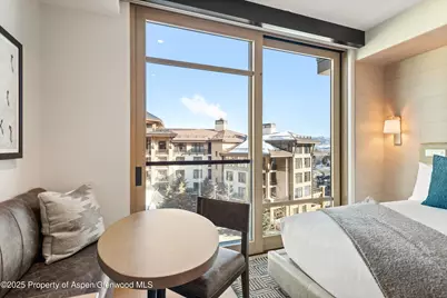 130 Wood Road #560-562, Snowmass Village, CO 81615 - Photo 20