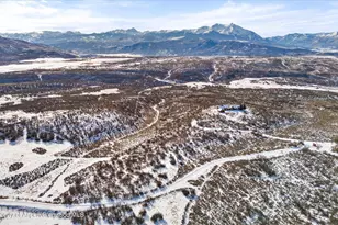 2103 Ten Peaks Mesa Rd, Carbondale, CO 81623 - Photo 64