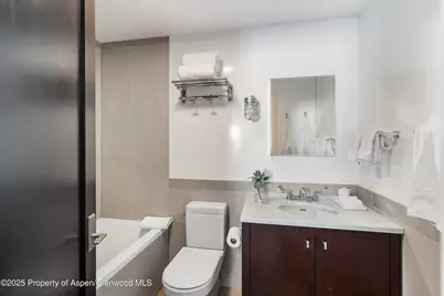 63 Smuggler Grove, Aspen, CO 81611 - Photo 38