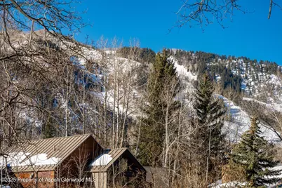 63 Smuggler Grove, Aspen, CO 81611 - Photo 60