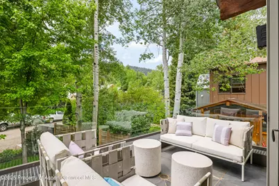 63 Smuggler Grove, Aspen, CO 81611 - Photo 22