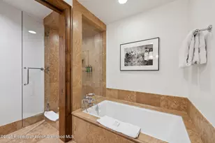 415 E Dean St Unit 15 Week 33, Aspen, CO 81611 - Photo 24